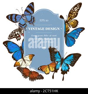 Badge-Design mit farbigem blauem Morpho, roter Schnürung, afrikanischem Riesenschwanzl, alcides agathyrsus, großer Orange-Spitze, einfarbiger Tiger Stock Vektor