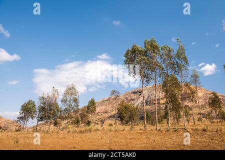 Anja Community Reserve, Haute Matsiatra Region, Madagaskar Stockfoto