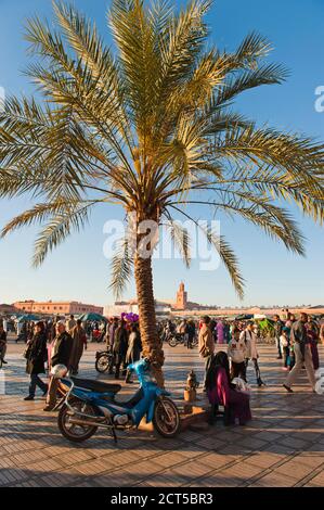 Place Djemaa der Platz El Fna ist weltbekannt für seine lebhafte Atmosphäre. Jeder Zentimeter des berühmten Platzes in Marrakesch ist voller Leben. Place Djemaa El Fna ist hektisch, aufregend und platzt aus allen Nähten mit Straßenkünstlern, Musik, Spielen und Unterhaltung. Jeden Abend werden in der Suare provisorische Imbissstände aufgestellt und die Party geht bis in die Nacht hinein. Die Koutoubia Moschee als Kulisse ist das Sahnehäubchen und macht Djemaa El Fna zu einem der angehnetsten Orte der Welt. Stockfoto