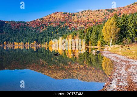 Harghita County, Rumänien. Herbstlandschaft am Saint Anne(SF Ana) See. Stockfoto