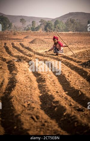 PA-O Bergstamm, Landwirtschaft in der Nähe von Inle Lake und Kalaw, eine beliebte 2-tägige Wanderung im Shan Staat, Myanmar (Burma) Stockfoto