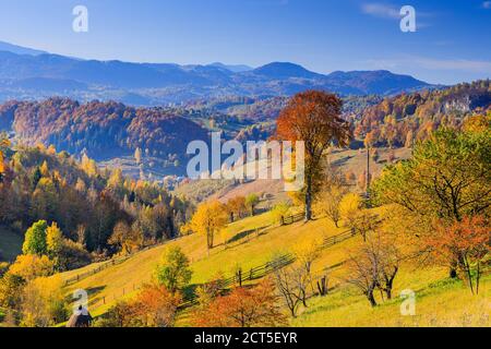 Brasov, Rumänien. Magura Dorf Landschaft im Herbst. Stockfoto