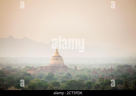 Dhammayazika Pagode bei Sonnenaufgang, Tempel von Bagan (Pagan), Myanmar (Burma) Stockfoto