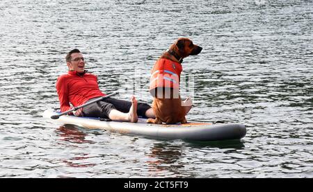 Leipzig, Deutschland. September 2020. Lachend genießt Marco das schöne Spätsommerwetter mit seinem Rhodesian Ridgeback 'Bahari' für Stand Up Paddling auf dem Moritzsee bei Leipzig. Zusammen mit der Fitnesstrainerin Monique Hunger vom 'Team Fit-Mensch und Hund' Leipzig nutzt er die Outdoor-Turnhalle, um am Ende der Saison mit seinen vierbeinigen Freunden aufzustehen. Die ständig benötigten Balancierübungen trainieren die tiefe Muskulatur, Stabilität und Balance und fördern das Vertrauen zwischen Mensch und Hund. Quelle: Waltraud Grubitzsch/dpa-Zentralbild/ZB/dpa/Alamy Live News Stockfoto