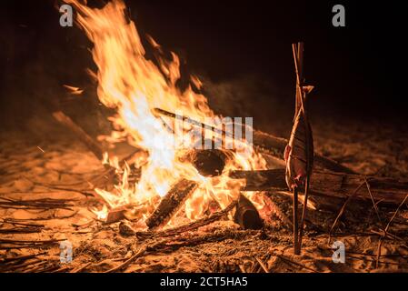 Kochen von Fischen am Feuer am Strand in der Nacht, Dawei Halbinsel, Tanintharyi Region, Myanmar (Burma) Stockfoto