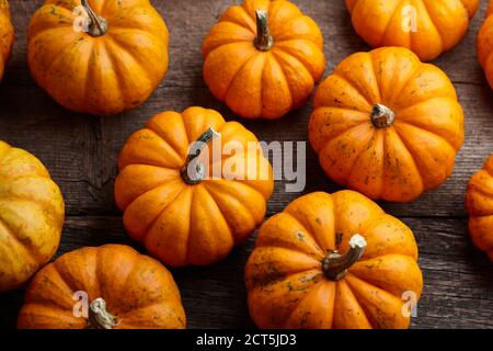 Schöne Mini-Kürbisse auf Holzplanken, Feiertagsdekoration Stockfoto