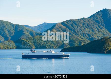 Die Interislander Fähre zwischen Picton, South Island und Wellington, North Island, Neuseeland Stockfoto