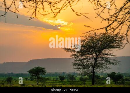 Spektakulärer Ngoro Ngoro Sonnenuntergang über dem afrikanischen Busch Stockfoto