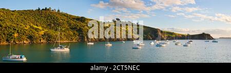 Segelboote in Waikeke Island Harbor bei Sonnenuntergang, Auckland, North Island, Neuseeland Stockfoto