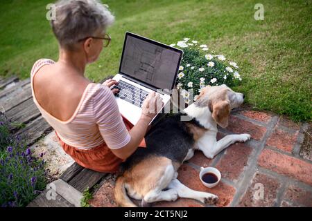 Rückansicht der älteren Architektin mit Laptop im Garten arbeiten, Home Office-Konzept. Stockfoto