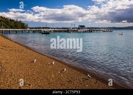 Russell Beach und Pier, Bay of Islands, Northland Region, North Island, Neuseeland Stockfoto