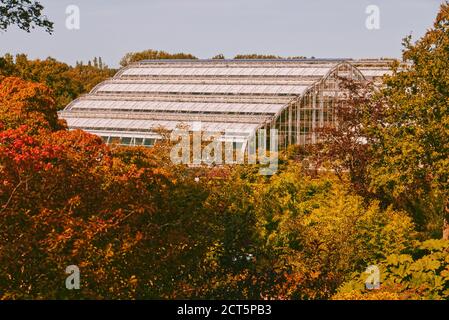 Das Glasshouse umgeben von Herbstlaub im September im RHS Garden, Wisley, Surrey, UK Stockfoto