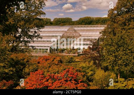 Das Glasshouse umgeben von Herbstlaub im September im RHS Garden, Wisley, Surrey, UK Stockfoto