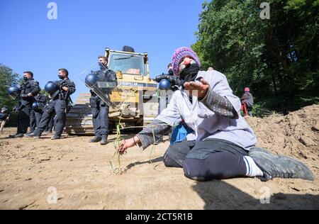 Hessen, Deutschland. September 2020. 21. September 2020, Hessen, Homberg (Ohm): Ein Aktivist hat einen Grashalm auf einem vorbereiteten Gelände gepflanzt. Nach Angaben der Polizei wird der Bereich für die Baumaschinen der A49 genutzt. Aktivisten wehren sich gegen den weiteren Bau der Autobahn 49 im Dannenröder Wald. Foto: Andreas Arnold/dpa Quelle: dpa picture Alliance/Alamy Live News Stockfoto