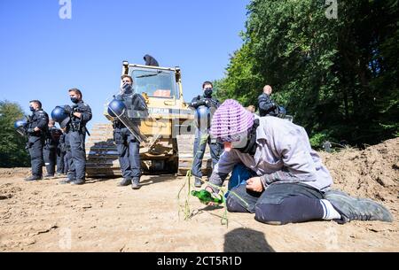 Hessen, Deutschland. September 2020. 21. September 2020, Hessen, Homberg (Ohm): Eine Aktivistin bewässerte einen Grashalm auf einem vorbereiteten Gelände, das sie zuvor gepflanzt hatte. Nach Angaben der Polizei sollen die Baumaschinen für den Bau der A49 auf dem Gelände abgestellt werden. Aktivisten wehren sich gegen den weiteren Bau der Autobahn 49 im Dannenröder Wald. Foto: Andreas Arnold/dpa Quelle: dpa picture Alliance/Alamy Live News Stockfoto