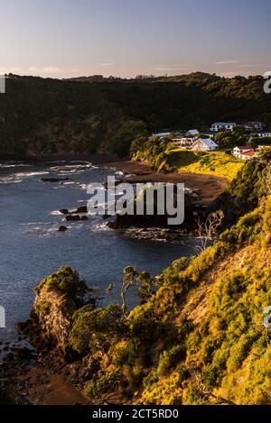 Tapeka Point bei Sonnenaufgang, Russell, Bay of Islands, Northland Region, North Island, Neuseeland Stockfoto