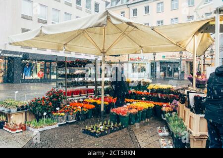 Würzburg/Deutschland-3/1/19: Der Blumenkiosk am Sternplatz im Zentrum von Würzburg an einem verschneiten Wintertag Stockfoto