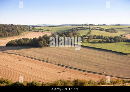 französische Landschaft in der Nähe von Calais in Parc regional de Caps et marais im Norden frankreichs Stockfoto