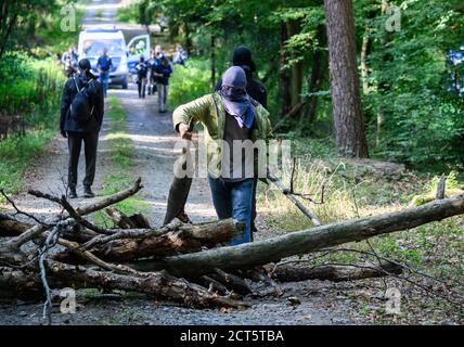 Hessen, Deutschland. September 2020. 21. September 2020, Hessen, Homberg (Ohm): Ein Aktivist errichtet im besetzten Waldgebiet eine Barriere. Nach Angaben der Polizei sollen die Baumaschinen für den Bau der A49 auf dem Gelände abgestellt werden. Aktivisten wehren sich gegen den weiteren Bau der Autobahn 49 im Dannenröder Wald. Foto: Andreas Arnold/dpa Quelle: dpa picture Alliance/Alamy Live News Stockfoto