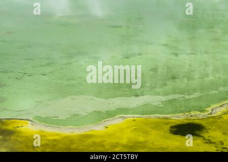 Acid Crater Lake, White Island Volcano, ein aktiver Vulkan in der Bay of Plenty, North Island, Neuseeland Stockfoto