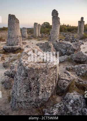 Pobiti kamani auch bekannt als die Steinwüste, in der Nähe von varna, bulgarien Stockfoto