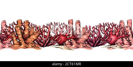 Nahtlose Grenze von verschiedenen bunten Cartoon Korallen. Das Objekt ist vom Hintergrund getrennt. Vektorgrafik für Rahmen, Karte und Ihr Design. Stock Vektor