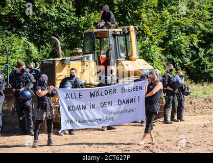 Hessen, Deutschland. September 2020. 21. September 2020, Hessen, Homberg (Ohm): Aktivisten stehen mit dem Banner "Alle Wälder bleiben. 'Komm in den Danni!' Vor Polizeikräften und einer besetzten Raupe. Nach Angaben der Polizei wird ein Bereich für das Parken von Baumaschinen vorbereitet. Aktivisten wehren sich gegen den weiteren Bau der Autobahn 49 im Dannenröder Wald. Foto: Andreas Arnold/dpa Quelle: dpa picture Alliance/Alamy Live News Stockfoto