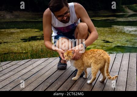 Ein Mann spielt mit einer heimische rot gestromte Katze. Die Katze reibt sich am mans Bein. Nach dem Regen Stockfoto