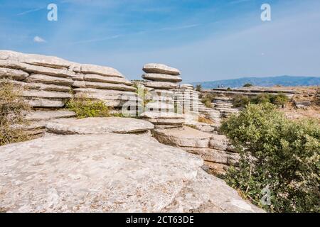 Torcal de Antequera ein karstisches Bergnaturreservat, mit El Tornillo,(Corkscrew) ein Naturdenkmal, Andalusien, Spanien Stockfoto