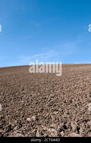 Ein gepflügtes Feld und EIN blauer Himmel auf den South Downs, East Sussex, Großbritannien Stockfoto