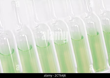 Nahaufnahme einer Reihe von aufrecht stehenden grünen Ampullen in Packung mit Selektiver Fokus Stockfoto