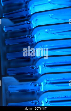 Nahaufnahme einer Reihe aufrechter Ampullen in ultravioletter Beleuchtung Mit selektivem Fokus Stockfoto