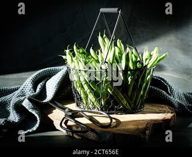 Frisch geerntete Bohnen in einem schönen Drahtkorb auf einem Schwarzer Hintergrund mit einer Schere Stockfoto