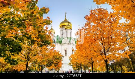 St. Katharinen-Kathedrale in Puschkin-Stadt (Zarskoje Selo), Russland Stockfoto