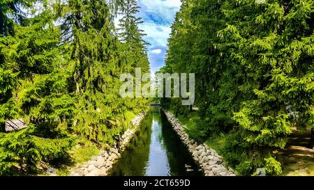Sommerlandschaft. Fluss im Wald. Catherine Park in Tsarskoe Selo (Puschkin), Russland. Stockfoto