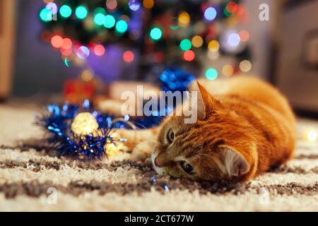 Ginger Cat spielt mit Girlanden und lametta unter dem Weihnachtsbaum. Weihnachten und Neujahr Konzept Stockfoto
