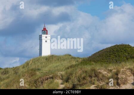 Blåvand Fyr, der Leuchtturm in Blavand, Dänemark, Düne im Vordergrund, Möwen schwimmen herum Stockfoto