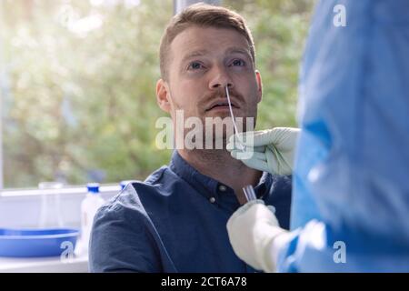 Covid-19 Nasenabstrichtest - Arzt, der eine Schleimprobe nimmt Von der Nase des Patienten im Krankenhaus Stockfoto