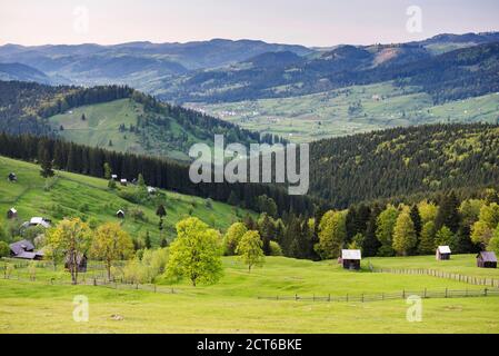 Bukowina Region (Bukowina) Landschaft in Paltinu in Rumänien Stockfoto