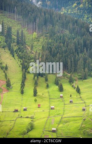 Ländliche Landschaft der Bukowina Region, Sadova, Rumänien Stockfoto