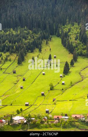 Ländliche Landschaft der Bukowina Region, Sadova, Rumänien Stockfoto