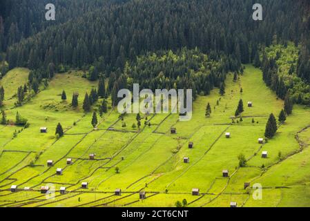 Ländliche Landschaft der Bukowina Region, Sadova, Rumänien Stockfoto