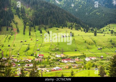 Hügelige, ländliche Landschaft der Bukowina Region, in Sadova, Rumänien Stockfoto