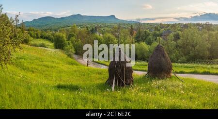 Traditionelle rumänische Heuhaufen in der Landschaft um Breb (Brebre), Maramures, Rumänien Stockfoto