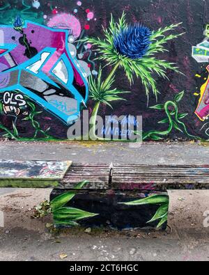 Bunte Wand & Bank im Mauer Park, Prenzlauer Berg, Berlin. Thistle-wie blaue Blume & helle Graffiti Stockfoto