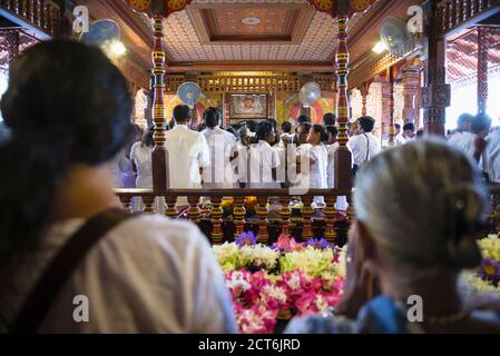 Pilger beten im Tempel (Tempel des Zahns, Sri Dalada Maligawa) Zahntempel in Kandy, Sri Lanka, Asien Stockfoto