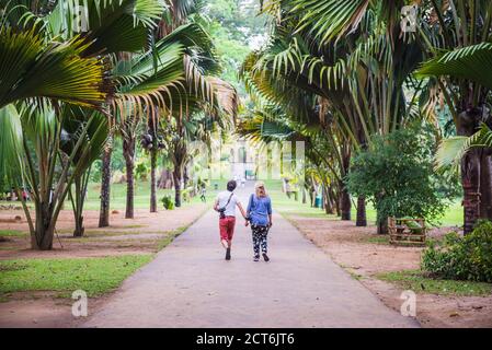 Paar Urlaub Kandy Royal Botanical Gardens, Peradeniya, Kandy, Sri Lanka, Asien Stockfoto