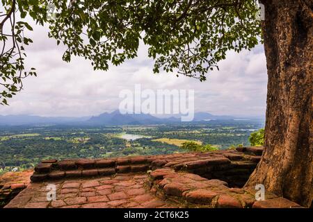 Blick von der Spitze der Felsenfestung Sigiriya, aka Lion Rock, Sri Lanka Stockfoto