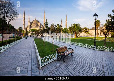 Blaue Moschee (Sultan Ahmed Moschee oder Sultan Ahmet Camii) vom Sultanahmet Park aus gesehen, Istanbul, Türkei, Osteuropa Stockfoto