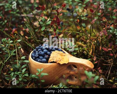 Frische Heidelbeeren in einem Holzbecher auf einem Stumpf im Wald. Leckeres und gesundes Essen Konzept. Stockfoto